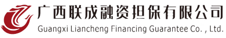 广西联成融资担保有限公司
